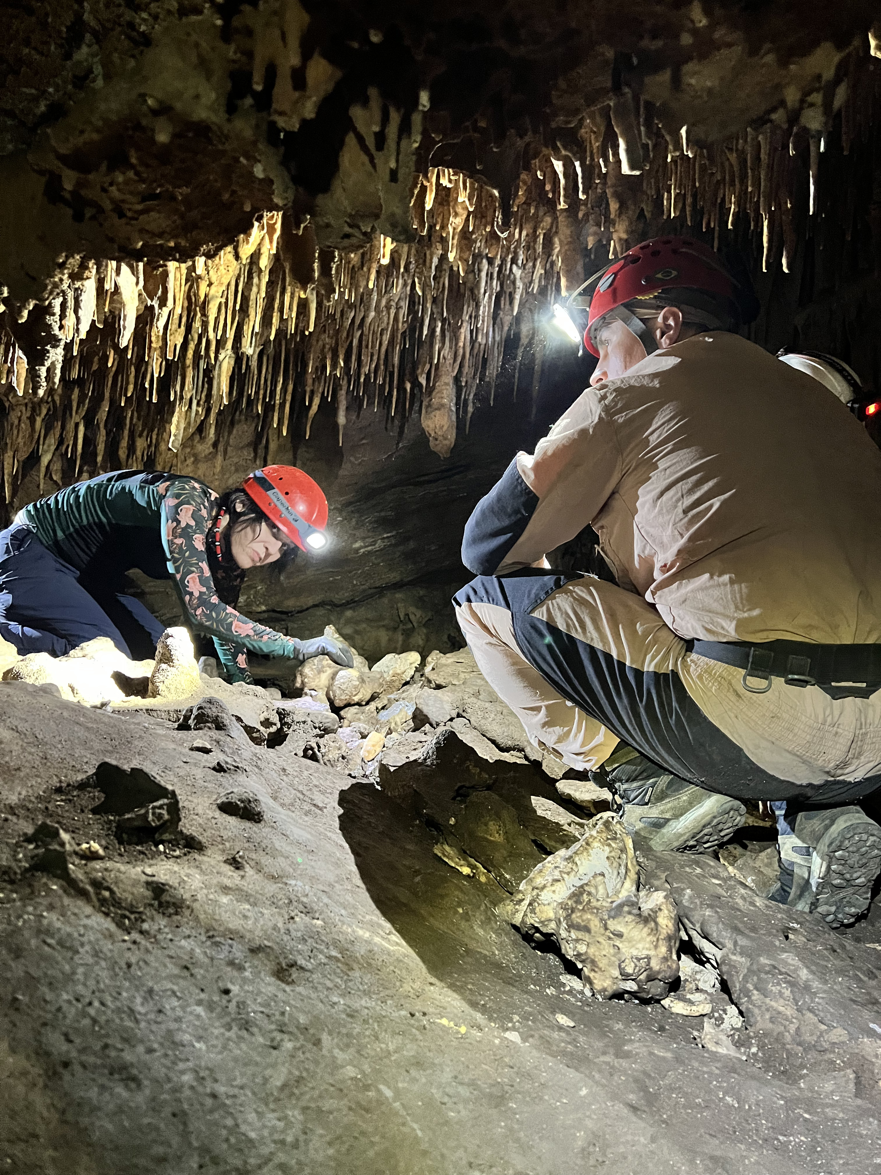 CURSO DE CAPACITAÇÃO EM ESPELEOLOGIA – TÉCNICOS SEMA/MT – REDE